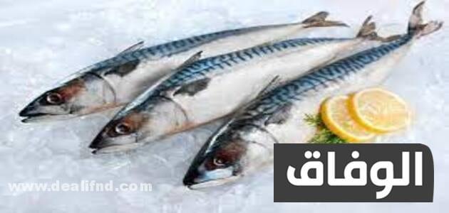 انواع الاسماك في الجزائر