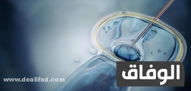 تكلفة الحقن المجهري في مصر دار الطب