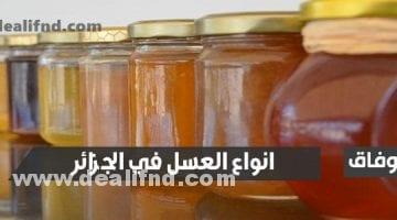 انواع العسل في الجزائر