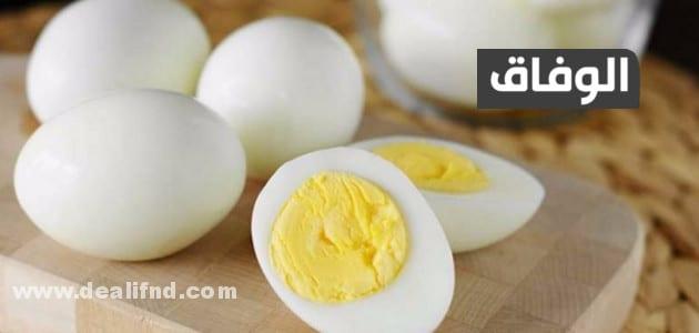 كمية البروتين في البيض