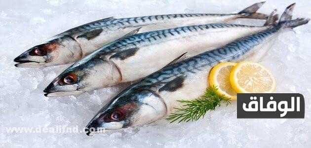 نسبه البروتين في سمك الماكريل