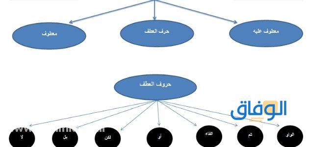 أمثلة على العطف في اللغة العربية
