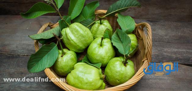  السعرات الحرارية في الجوافة