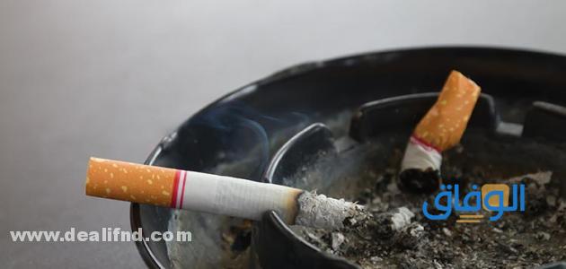عبارات عن أضرار التدخين
