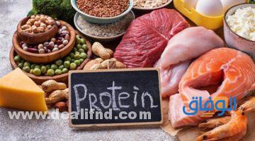 فوائد البروتين