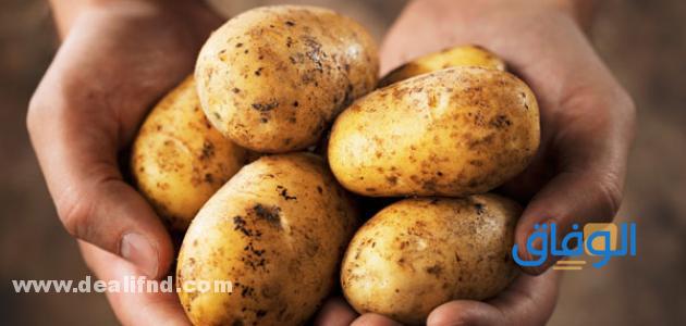 فوائد البطاطس للصحة.. والرجيم مفاجأة
