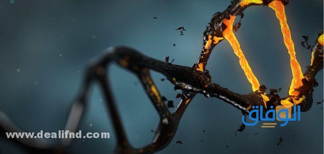 خطوات استخلاص الحمض النووي