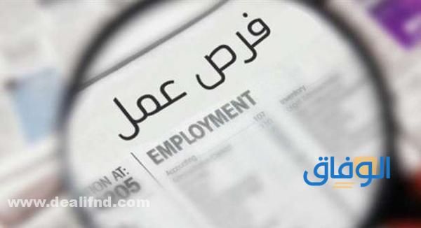 وظائف حكومية في قطر للاجانب 2024