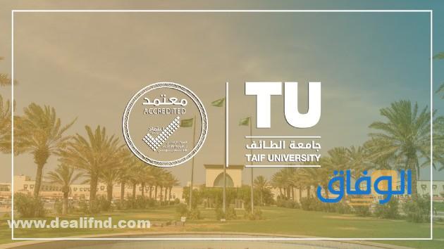 مميزات مهارات جامعة الطائف