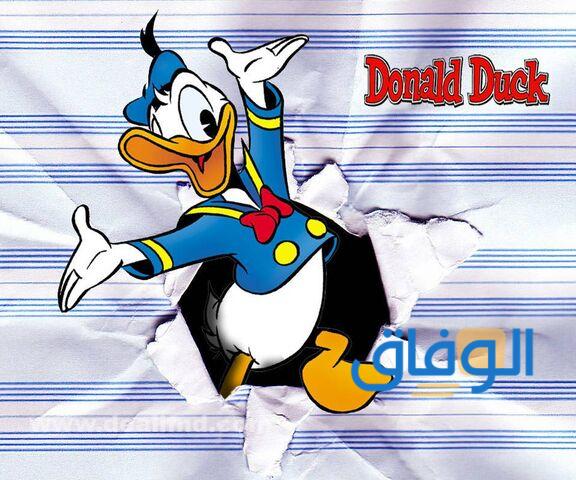بطوط أو دونالد داك(Donald Duck)