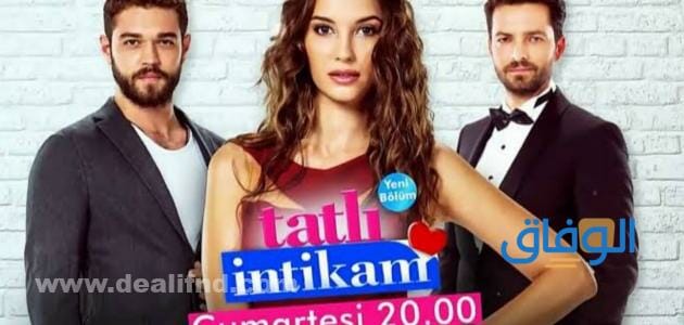 اشهر المسلسلات التركية المدبلجة